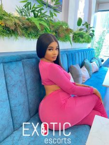 እንግዳ ቦሌ አጃቢዎች