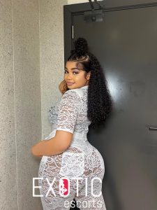 ኢክሶቲክ ቦሌ እንግዳ አገልግሎቶች