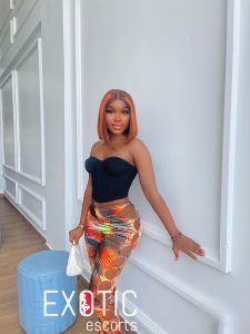 አዲስ አበባ ኤስኮርቶች